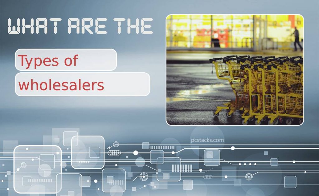 what-are-the-types-of-wholesalers